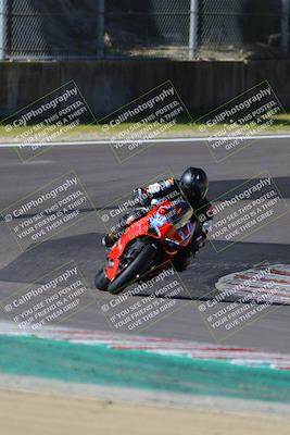 media/Mar-17-2024-Fastrack Riders (Sun) [[c7d6f8c14c]]/Level 2/Turn 6/